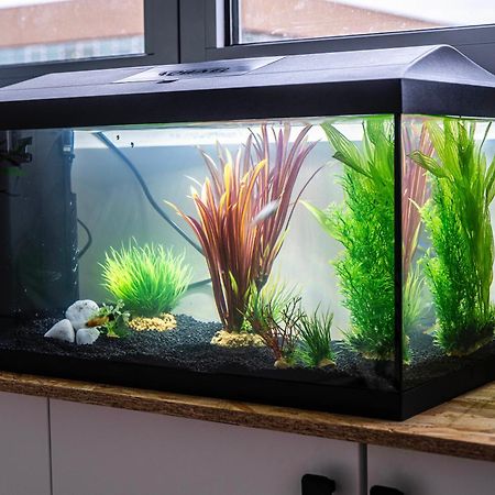 Апартаменты Studio Chaleureux Avec Aquarium Марк-ан-Барёль Экстерьер фото